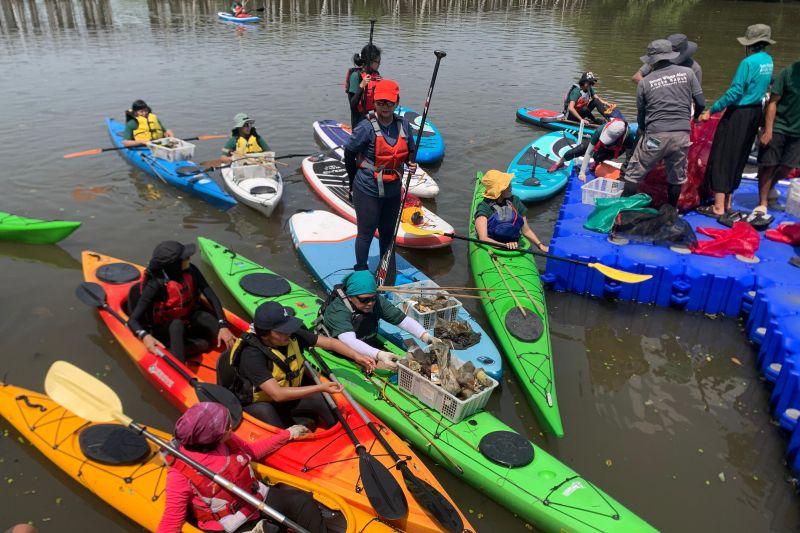 Komunitas "paddler” wanita bersihkan hutan mangrove Jakarta Utara