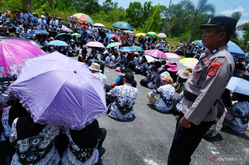 Aksi solidaritas bela guru honorer di Konsel