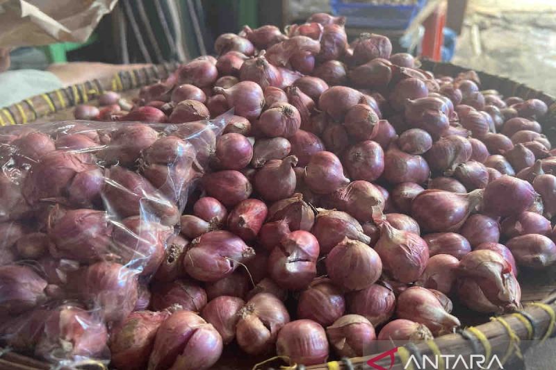 Harga pangan Selasa pagi, bawang merah naik menjadi Rp30.940 per kg