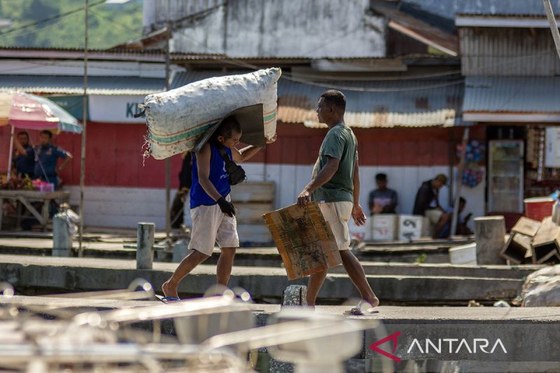 Aktivitas buruh angkut di Pelabuhan Rakyat Luwuk