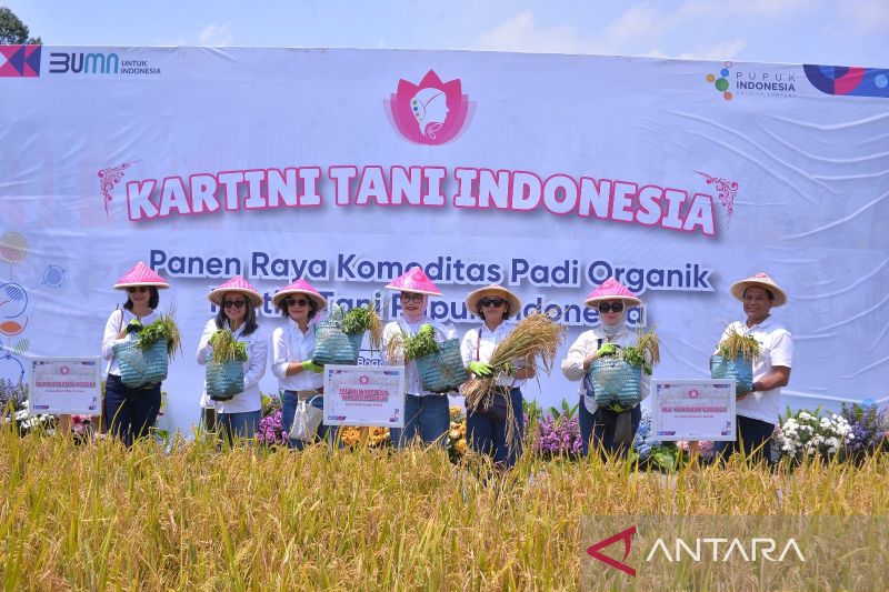 Program Kartini Tani Pupuk Indonesia mampu hasilkan padi organik