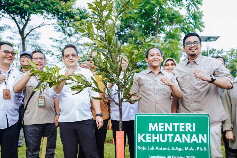 menhut-produk-perhutanan-sosial-pasok-program-makan-bergizi-gratis