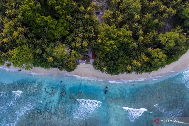 Menyelamatkan hewan purba melalui energi terbarukan