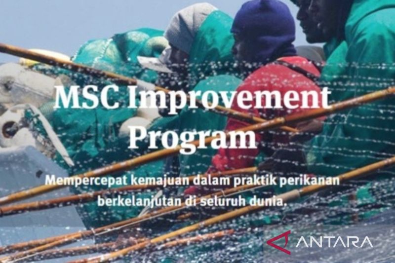 msc-improvement-program-solusi-percepatan-keberlanjutan-perikanan