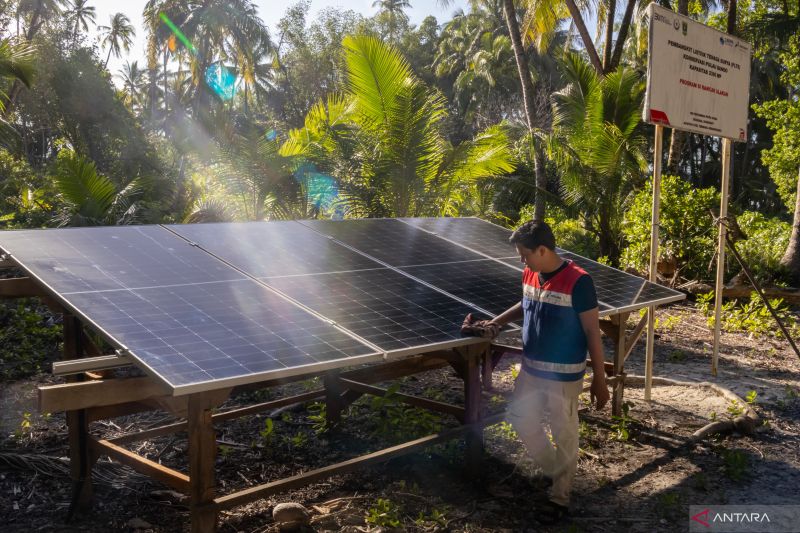 Menyelamatkan hewan purba melalui energi terbarukan