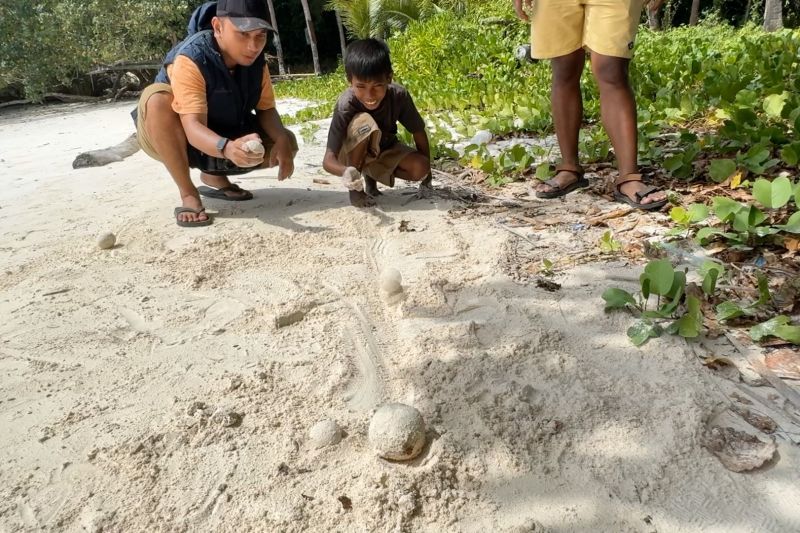 Mengenal Fatu Fatu Bo'o, permainan tradisional anak pantai Wakatobi