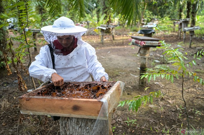 7-manfaat-garam-dan-madu-untuk-kesehatan-tubuh