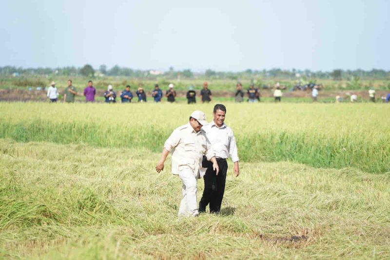 Mentan damping Presiden Prabowo tinjau lahan pertanian Merauke