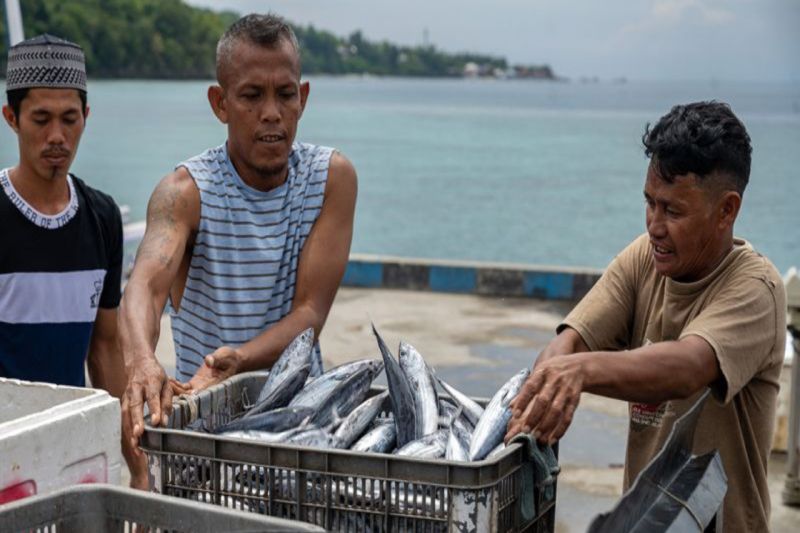 Brida dan Pemkab ciptakan aplikasi penunjang perikanan tangkap