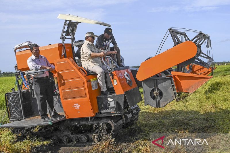 Presiden Prabowo tinjau pertanian di Merauke