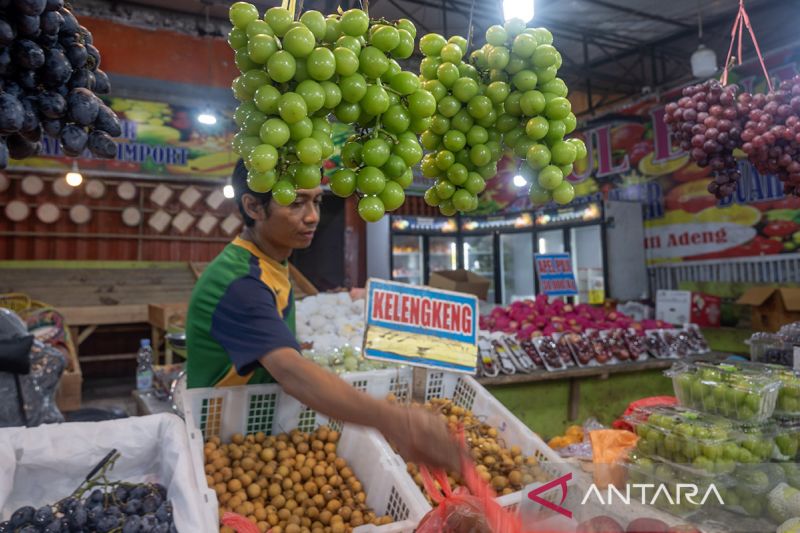 Tidak ditemukan residu pestisida pada anggur Shine Muscat