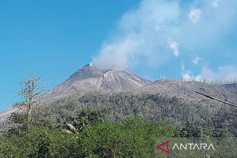 Kemarin, Surat petani garam untuk Presiden hingga erupsi gunung di NTT