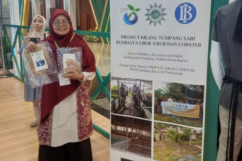 Produk nelayan "salted jellyfish" binaan Muhammadiyah Ikut ISEF 2024