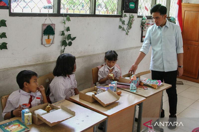 Kementan yakini produksi pangan domestik bisa penuhi program MBG