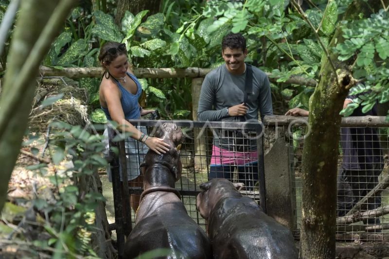 Wisata kebun binatang Lombok Wildlife Park