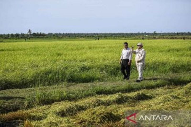 Mentan paparkan program prioritas Kementerian Pertanian pada 2025