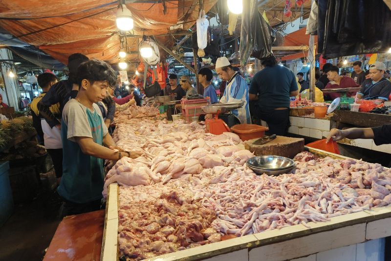 pakar-harap-pemerintah-tekan-tingkat-pengangguran-di-bawah-4-persen