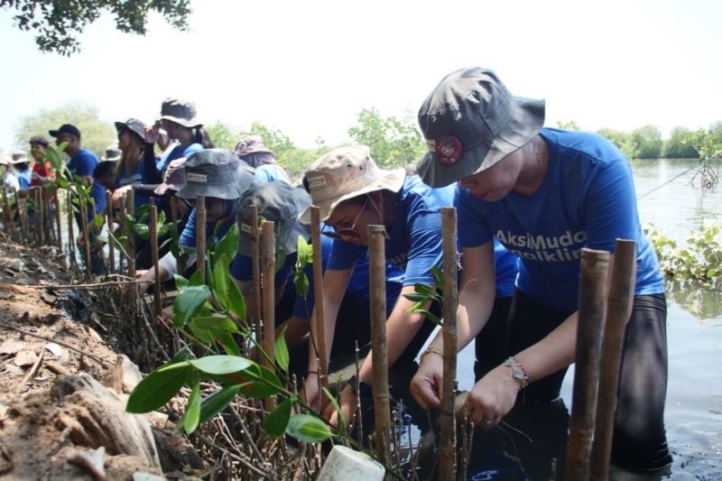 j-trust-bank-tanam-3000-mangrove-guna-capai-target-emisi-nol-bersih