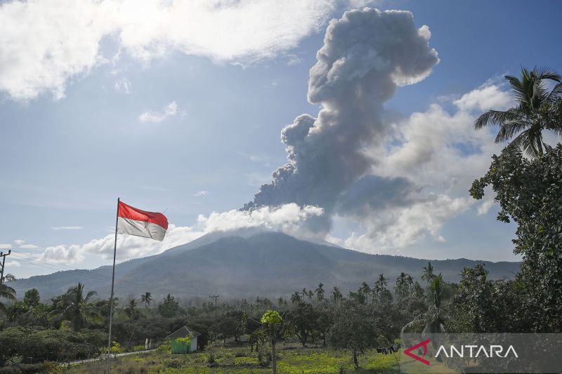 Kolom erupsi Gunung Lewotobi Laki-laki 2.500 meter di atas puncak