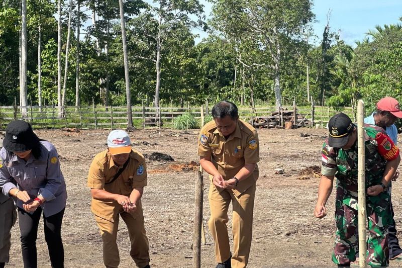 Pemkab Jayapura siapkan 316 hektare lahan ketahanan pangan