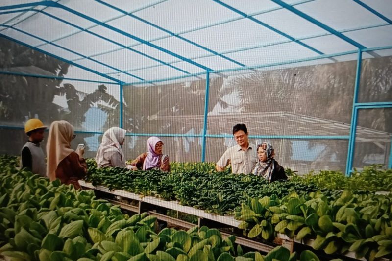 Produsen kertas ciptakan kreativitas kelengkapan "greenhouse"