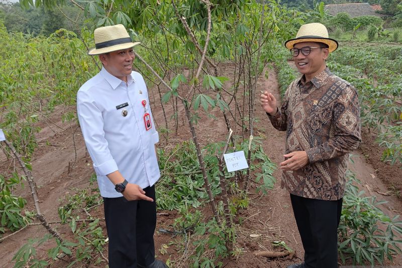 Mendes jadikan desa di Tangerang proyek percontohan agrowisata