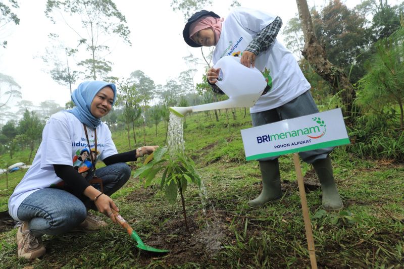 bri-perkuat-posisi-sebagai-pemimpin-keberlanjutan-di-perbankan