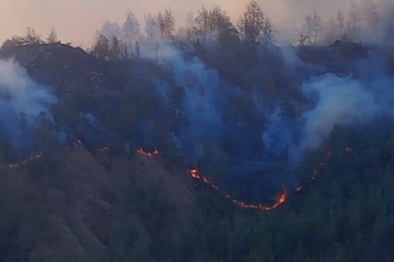 Ada kebakaran, pendakian Rinjani via jalur Senaru ditutup sementara