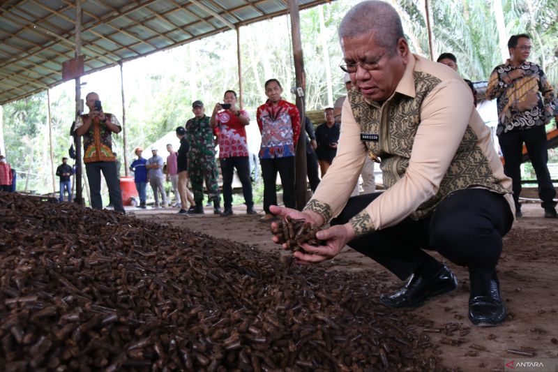 pj-gubernur-kalbar-tinjau-pabrik-briket-dari-tandan-sawit