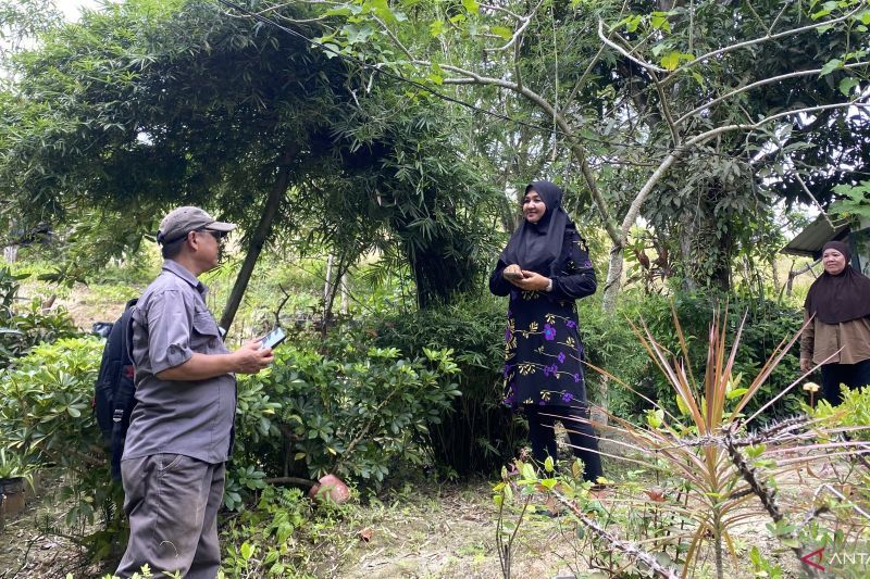 kaum-perempuan-sulap-gersangnya-pulau-pemping-menjadi-sejuk