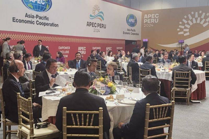 indonesia-sampaikan-dukungan-terhadap-pasar-kredit-karbon-di-apec