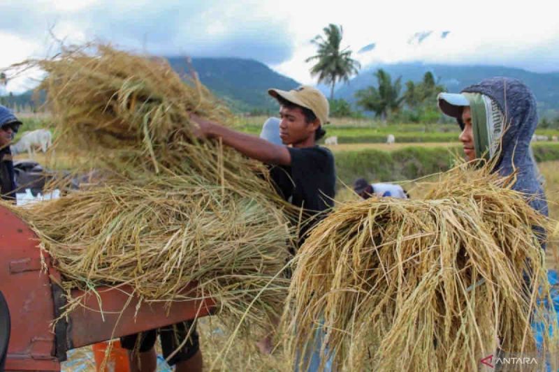 ktna-pelibatan-petani-muda-perlu-diperkuat-lewat-bimbingan-teknis