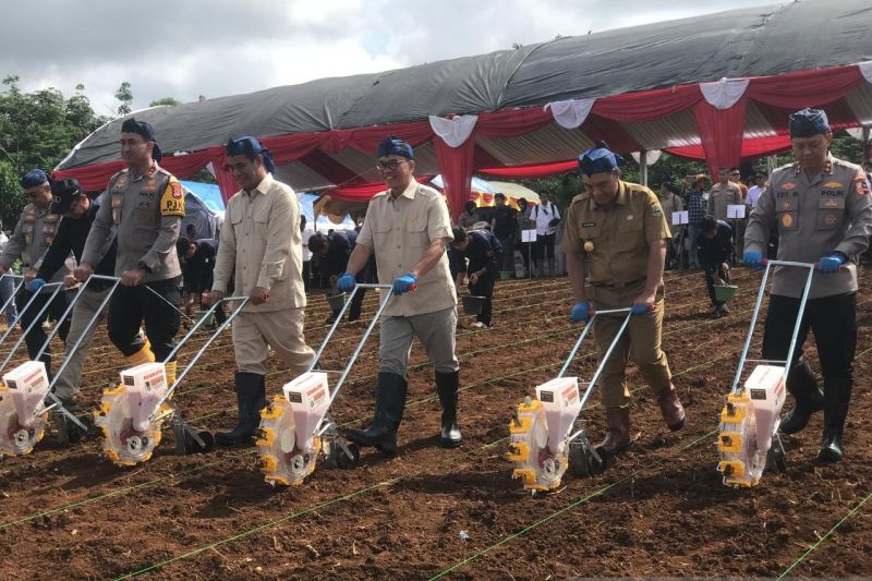 polda-banten-bantu-dan-tanam-64875-kg-bibit-jagung-di-lebak