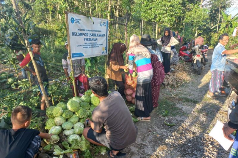 ybm-pln-berikan-bantuan-10-desa-cahaya-sulselbar-tingkatkan-ekonomi