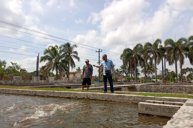 pemkab-sleman-tambah-sumber-air-balai-benih-ikan-tingkatkan-produksi