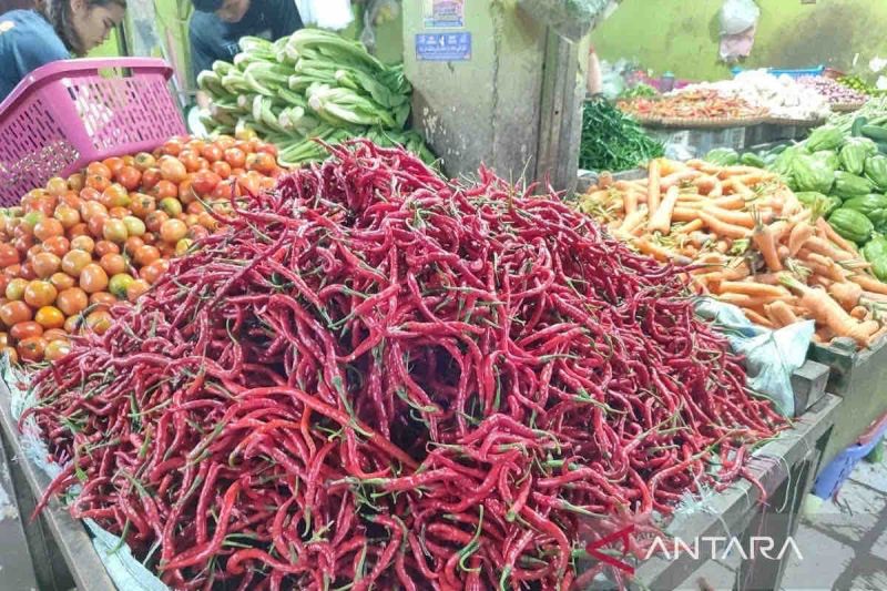 harga-pangan-cabai-keriting-turun-rp3250-jadi-rp25980-per-kg