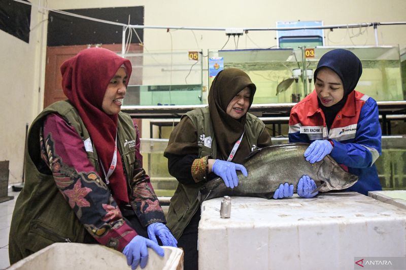 pertamina-perkuat-riset-energi-dan-pangan-lewat-pfsains