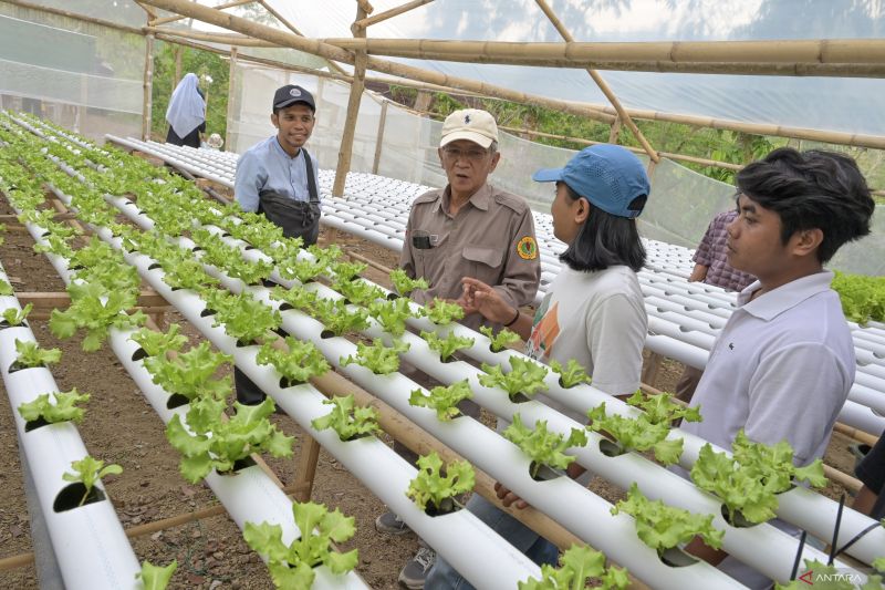 Kemenaker paparkan strategi pengembangan tenaga kerja industri pangan