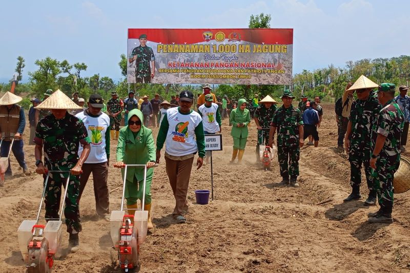 pangdam-udayana-tanam-jagung-di-lombok-timur-wujudkan-ketahanan-pangan