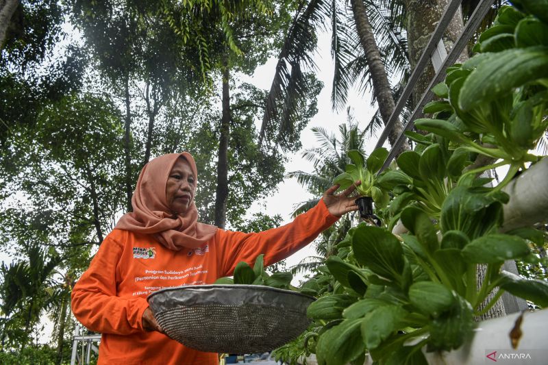 Kelompok bina tani berkah Binaan Kilang Pertamina Plaju