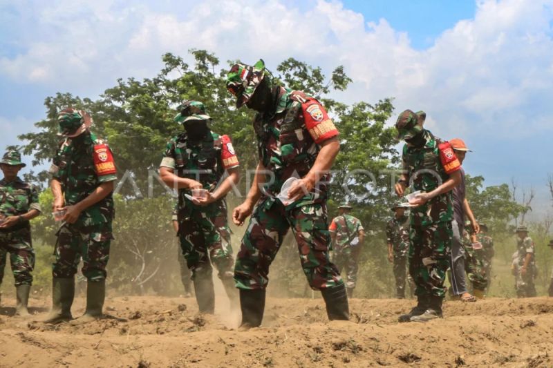 TNI tanam benih jagung di Lombok Timur