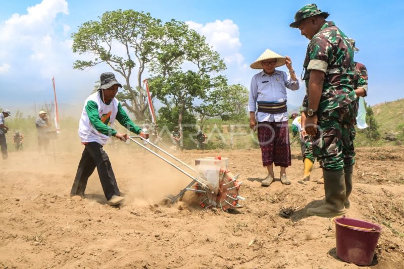 TNI tanam benih jagung di Lombok Timur