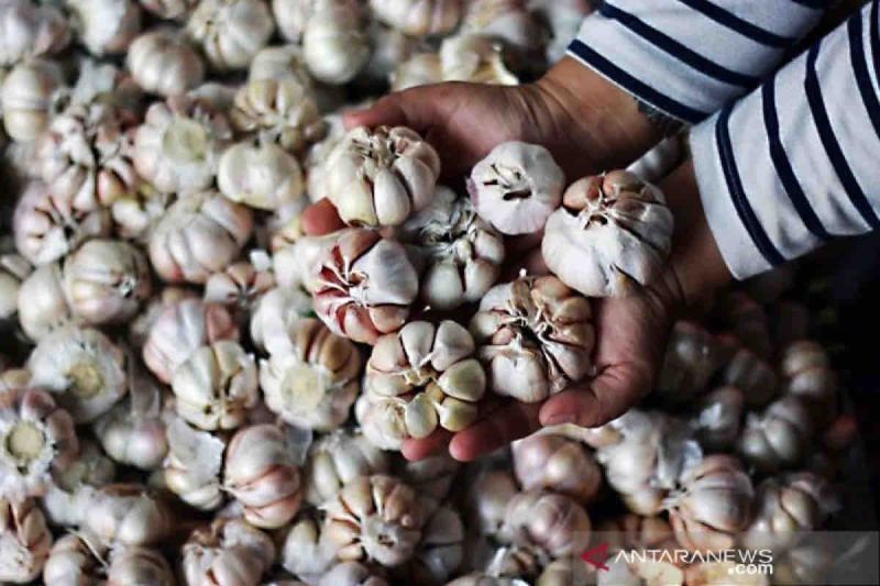 harga-pangan-pada-minggu-bawang-putih-naik-jadi-rp41840-per-kg