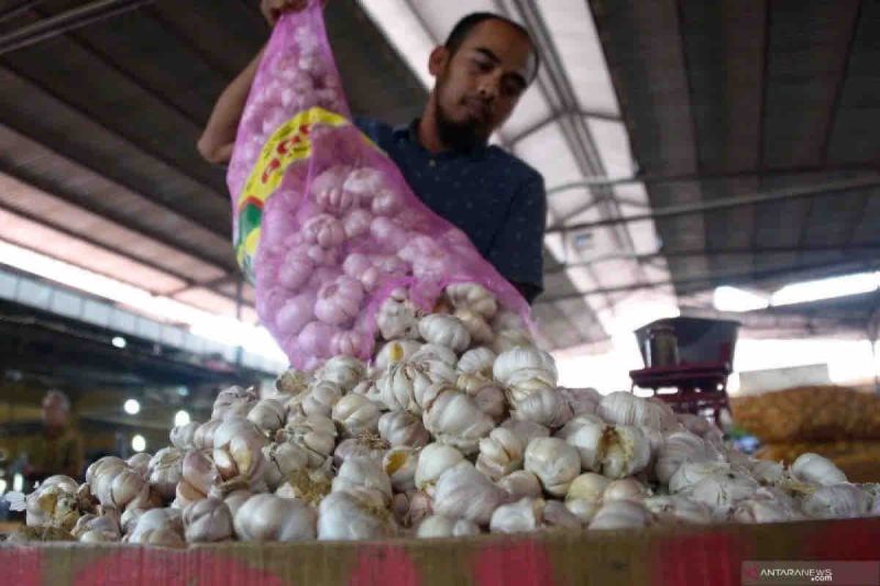 harga-pangan-di-senin-bawang-putih-naik-menjadi-rp41590-per-kg