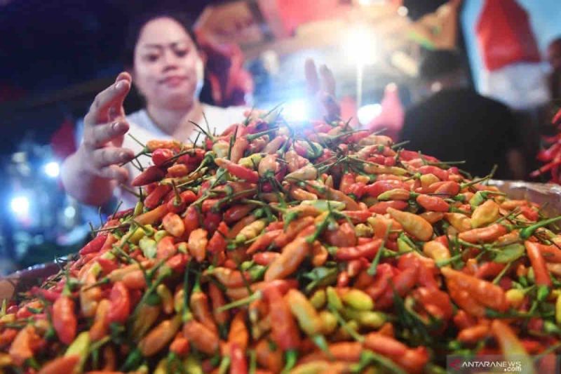 harga-pangan-cabai-rawit-merah-naik-rp3050-menjadi-rp41580-per-kg