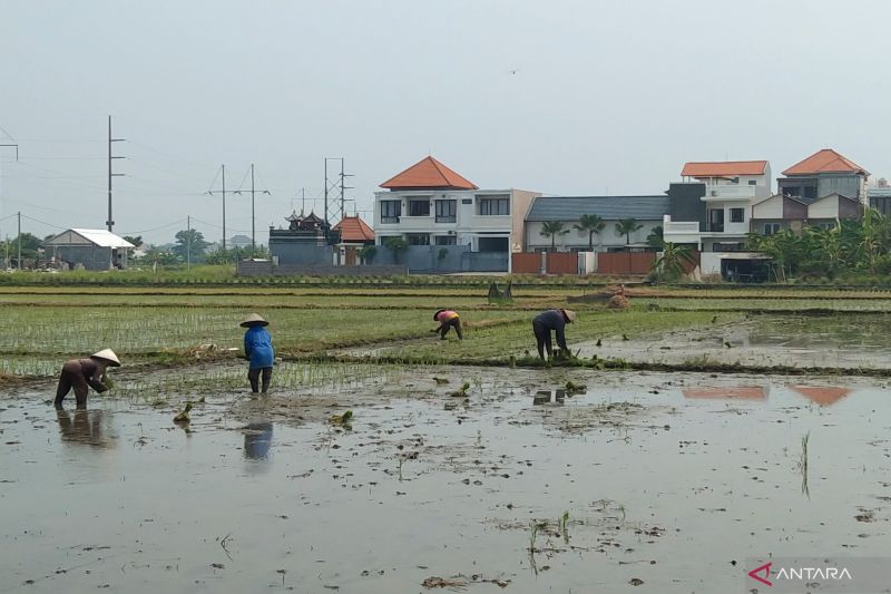 menyokong-hulu-hilir-sektor-pertanian-di-bali