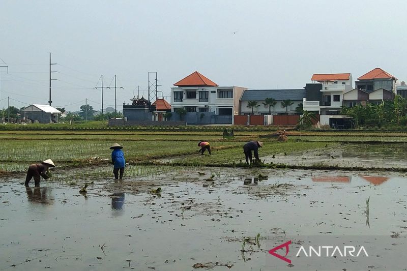 menyokong-hulu-hilir-sektor-pertanian-di-bali