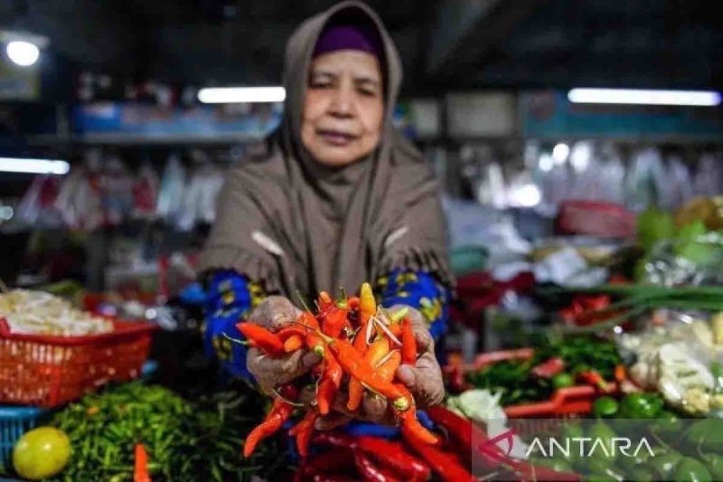 harga-pangan-akhir-november-cabai-rawit-merah-capai-rp39520-per-kg