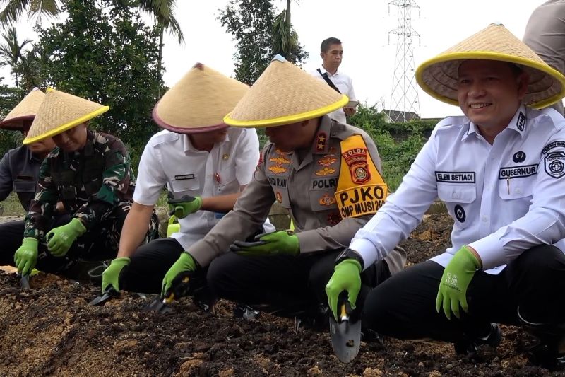 Mimpi Sumsel jadi lumbung pangan dengan kembangkan sejumlah komoditas