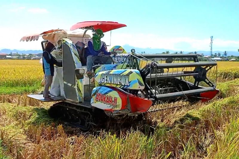 OJK Sulselbar lansir penyaluran KUR terbesar di sektor pertanian